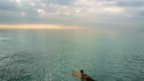 Beautiful Aerial View Girl Lies Surfboard Paddles Hands Ocean Beach — Stock Video