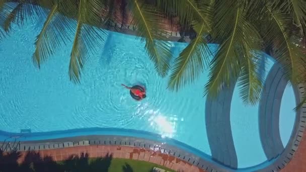 Upper View Light Tropical Wind Shakes Palm Leaves Swimming Pool — Stock Video