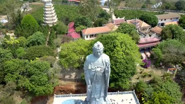 Flycam Abbassa Enorme Statua Buddha Grigio Contro Alta Pagoda Sconfinato — Video Stock