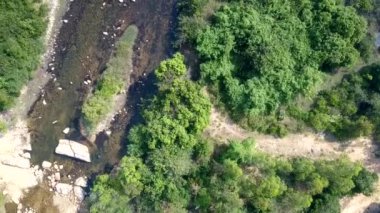 FlyCAM sığ nehir tarafından yemyeşil orman düşürür