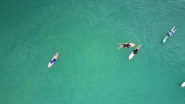 Inanılmaz Üst Görünüm Sörfçü Panoları Sınırsız Turkuaz Sakin Okyanusu Arasında — Stok video
