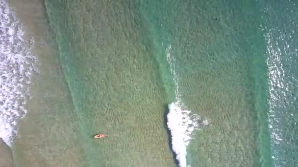 上部のビュー女性は太陽光線の下で輝く透明なターコイズ ブルーの海でサーフィンのセーリング — ストック動画