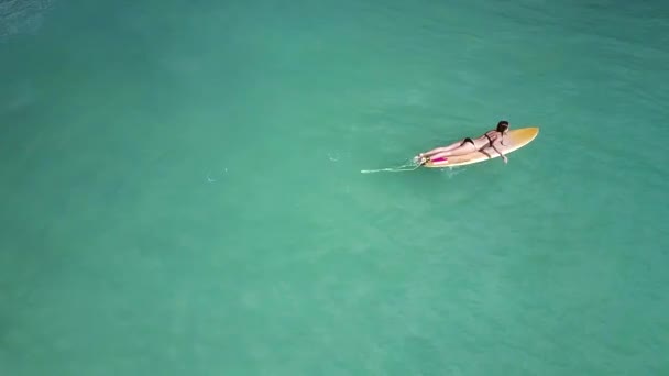 Lone Slim Girl Surfer Black Bikini Swims Board Guy Surfboard — Stock Video