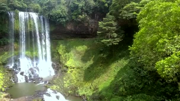 Vento Forte Treme Grande Árvore Tropical Cachoeira Segundo Plano Parque — Vídeo de Stock