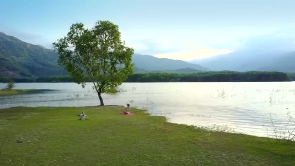 丘と空に対して静かな湖のそばの大きな木が緑の土手に座っている美しい画像女性 — ストック動画