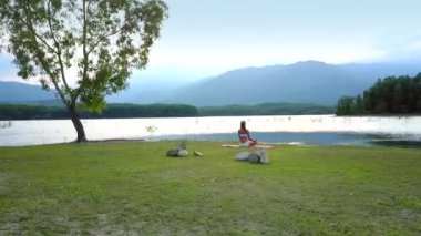 havadan görünümü muhteşem yayla manzara sınırsız mavi gökyüzü ve göl büyük yalnız ağaç kız ön plan üzerinde altında