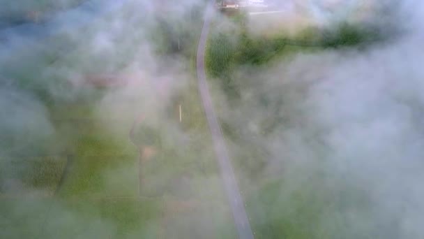 Inspirierende Obersicht Flycam Zeigt Streuenden Nebel Und Sichtbares Grünes Tal — Stockvideo