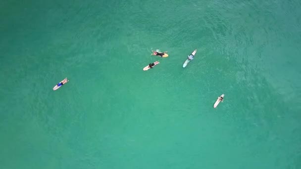 Verbazingwekkende Foto Flycam Stijgt Boven Surfers Rustend Surfplanken Onder Eindeloze — Stockvideo