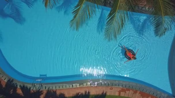 Beautiful Aerial View Nice Blue Swimming Pool Large Palm Branches — Stock Video