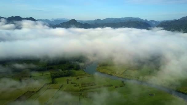 美丽的上部图片云彩在山顶层和绿色谷与河几乎不可见向下在越南高地 — 图库视频影像