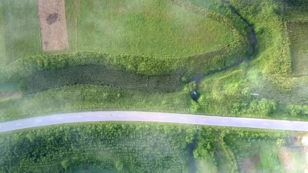 画上视图沥青乡间小路横跨绿色风景与农业地块在山沟后面被光的薄雾覆盖了 — 图库视频影像