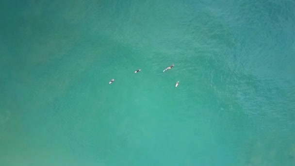 Picturale Panorama Drone Hangt Hoog Boven Personen Rustend Surfplanken Onder — Stockvideo