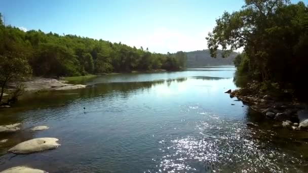 Kleiner Vogel fliegt über Fluss mit Stromschnellen gegen Dschungel — Stockvideo