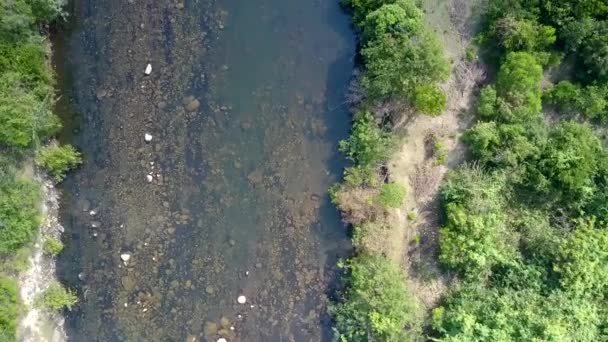 Рух по неглибокій гірській річці з прозорою водою — стокове відео