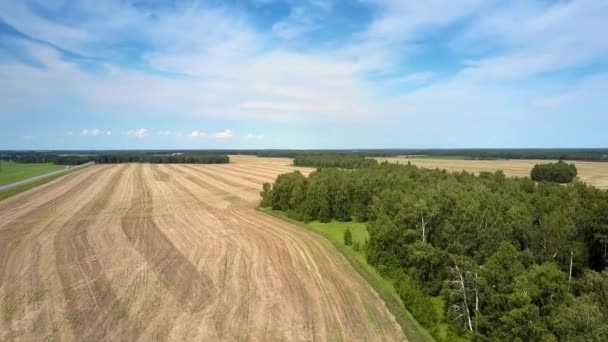 Vista Aérea Pictórica Vasto Paisaje Con Campo Cosechado Por Bosque — Vídeo de stock