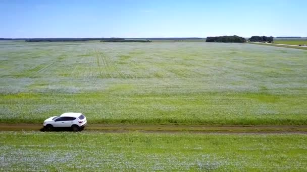 Красивое Воздушное Движение Над Белым Автомобилем Проезжающим Грунтовой Дороге Между — стоковое видео