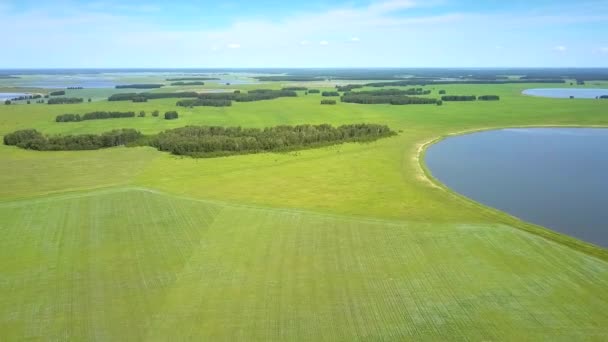 Antenowe Ogromne Bezgraniczną Zielony Krajobraz Niebieskie Jeziora Lasy Pola Lecie — Wideo stockowe