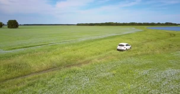 Luftbild Modernes Weißes Auto Kehrt Auf Grasweg Nahe Blauem See — Stockvideo