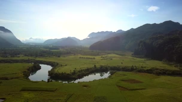 Vista Aerea Valle Con Foresta Altopiano Sconfinato Sotto Cielo Blu — Video Stock