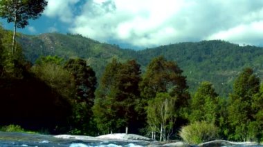 Traktör gün batımında tarlada hasat ediyor