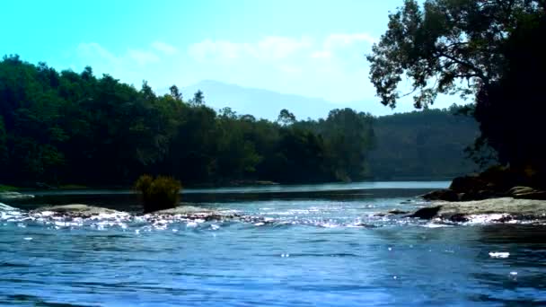 Cours Eau Montagne Entre Forêt Jungle — Video