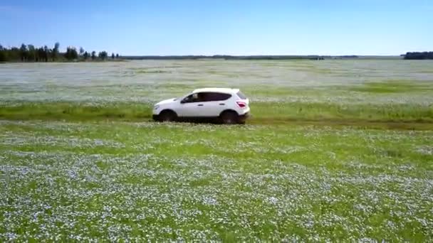 Obrazowym Lot Nad Białym Samochodem Wzdłuż Drogi Ziemi Wśród Kwitnących — Wideo stockowe