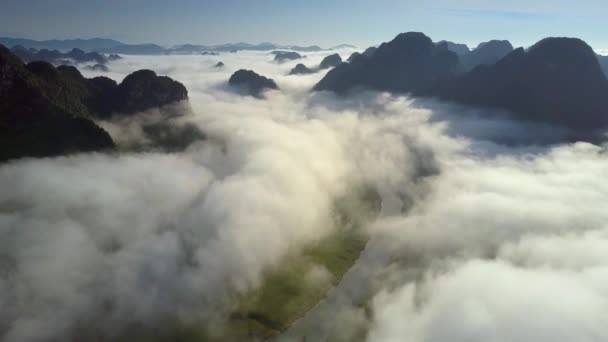 Imagen Pictórica Drone Vuela Sobre Valle Río Cubierto Espesa Niebla — Vídeos de Stock