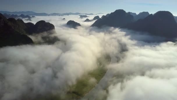 Imagem Pictórica Drone Voa Sobre Vale Rio Coberto Com Névoa — Vídeo de Stock