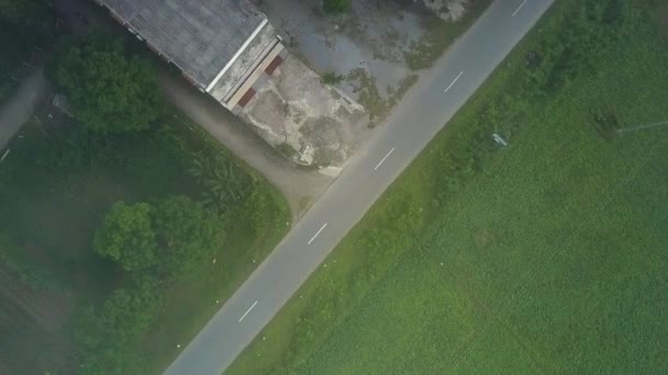 caméra de vue picturale descend à la route asphaltée de campagne avec voiture de conduite parmi le paysage vert 