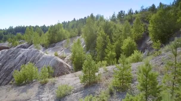 上記の無限の青い空と古い粘土採石場の石側で成長して緑の森絵画上運動 — ストック動画