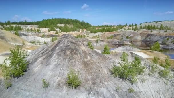 Fantastický Obraz Malé Stromky Keře Vyrážet Neživý Šedé Svazích Mezi — Stock video