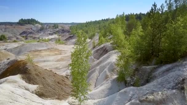 Picturale Luchtfoto Motie Mooie Berken Groeiende Oude Klei Pit Grijs — Stockvideo