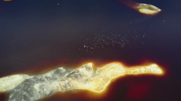 flycam s'élève au-dessus étrange île lumineuse sur étang bleu et montre paysage forestier sans limites picturales contre ciel bleu 