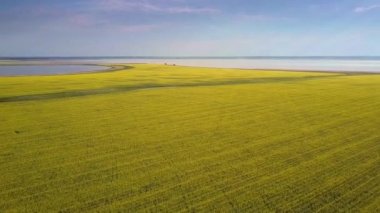 büyük sarı tecavüz alanının üstündeki üst hareket göl turu için