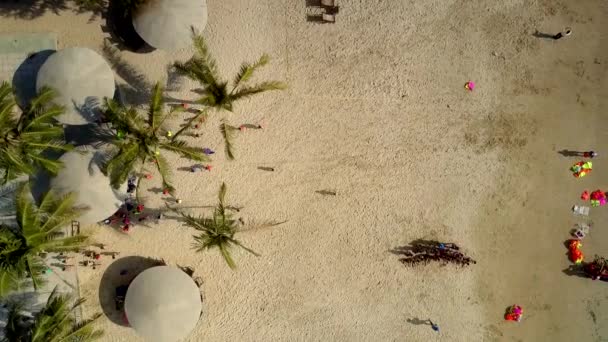 Les enfants s'amusent sur la plage avec des parasols et des arbres exotiques — Video