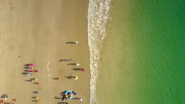 Εκπαιδευτικοί συγκεντρώνουν τα παιδιά σε ομάδα στην παραλία κύματα του ωκεανού ρολό — Αρχείο Βίντεο