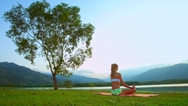 Стройная девушка медитирует в позе Лотоса за одиноким деревом на холмах — стоковое видео