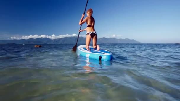 Menina loira em biquíni paddles sup board no oceano azul — Vídeo de Stock