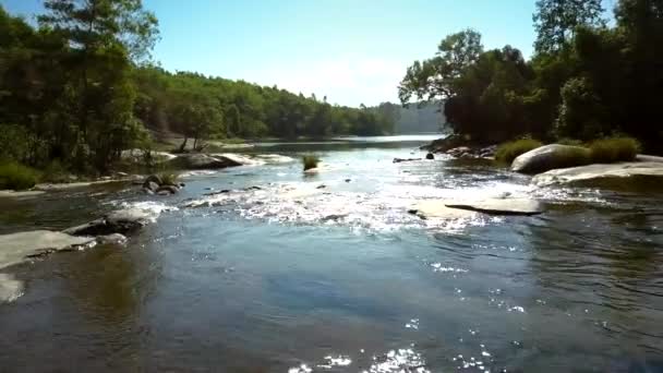 River streams and shimmers under sun rays against jungle — Stock Video