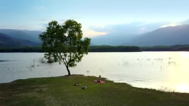 Duże drzewa samotny na brzegu jeziora i kobieta na trawie — Wideo stockowe