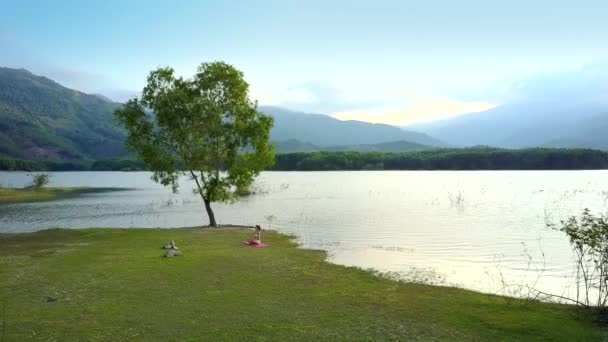 Кудрявое одинокое дерево на берегу озера и девушка на траве — стоковое видео