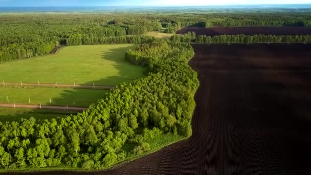 Voo acima da paisagem do país com campos florestais e terras aráveis — Vídeo de Stock