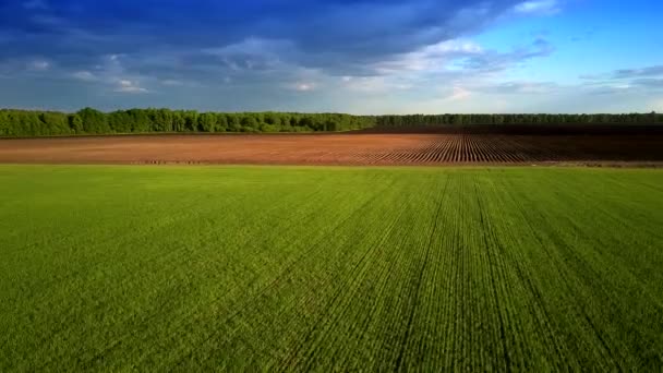 美丽的上部运动从硼土地橙色行到绿色种植场在日落光下的蓝天下 — 图库视频影像