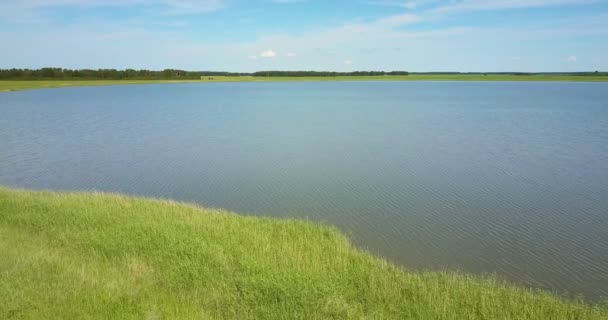 Drone leci od jeziora z trawy banku powrót do pola gryka — Wideo stockowe