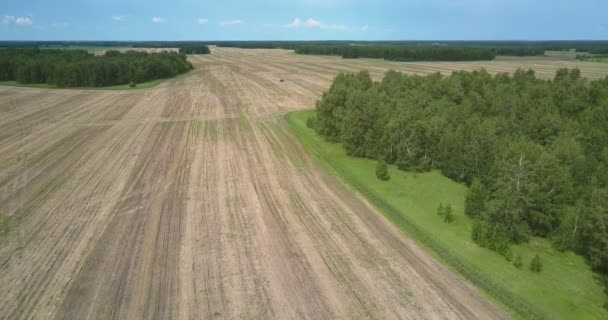 Flycam lejön betakarított mező-erdő tisztás közelében — Stock videók