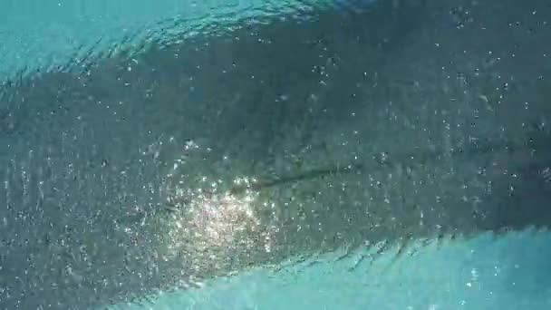 スイミング プールの水に太陽光線の輝き — ストック動画