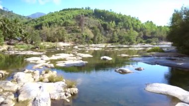 nehir tropikal ağaçlar ve dağlar karşı içinde büyük taşlar