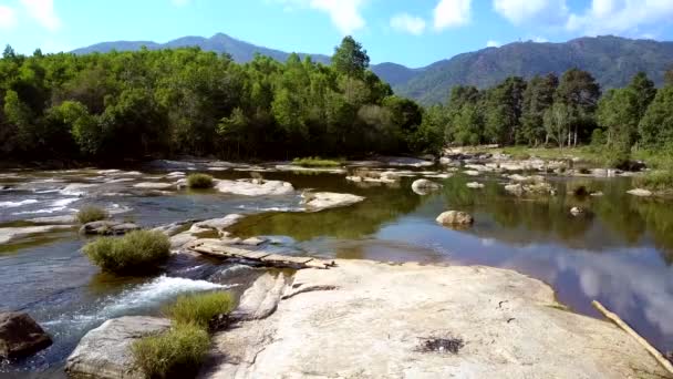 Pedra em rio corrente contra andscape de árvores e colinas — Vídeo de Stock