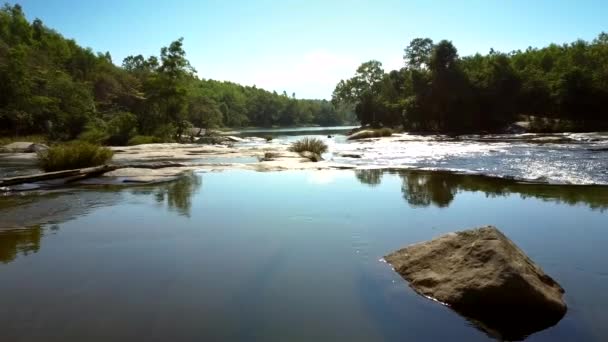 River streams among wild landscape of green forest — Stock Video