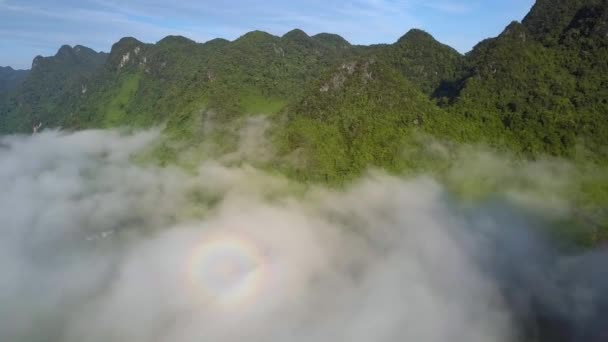 Bewegung über nebligen Wolken gegen grüne Waldhügel — Stockvideo